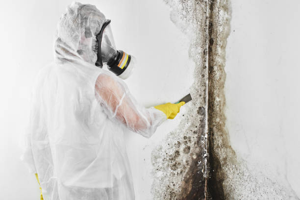 Best HVAC Mold Remediation in Gordonsville, TN