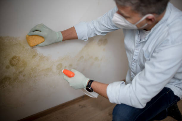 Best Post-Flood Mold Remediation in Gordonsville, TN